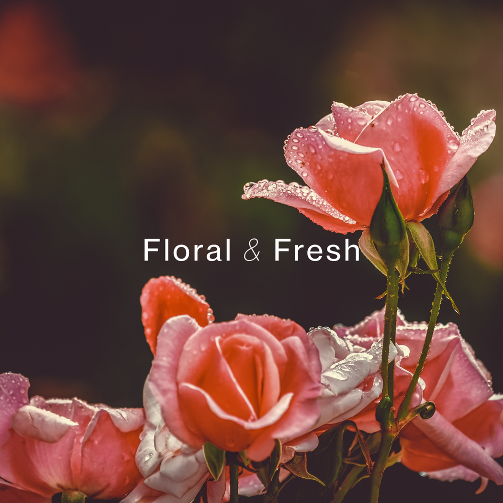 ROSE BOTANICA SINGLE WICKED SOY CANDLE (8oz / 226g)