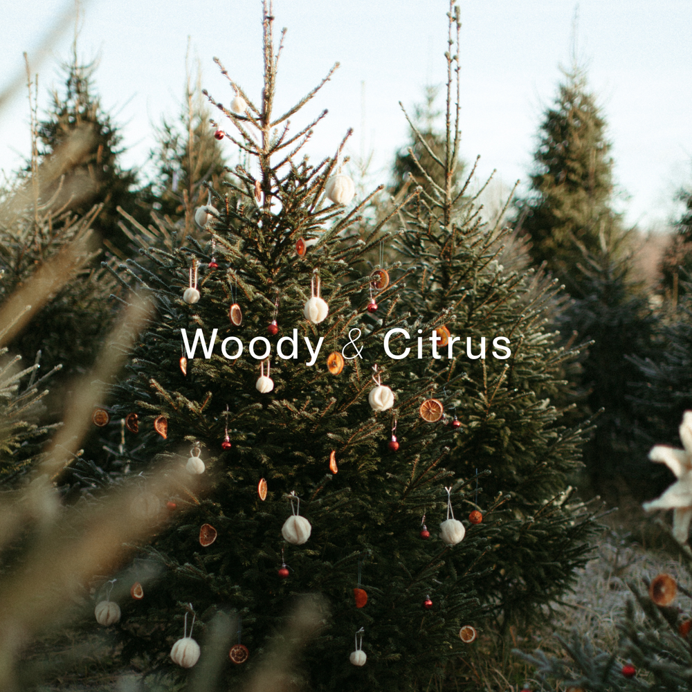 Pre Order: CHRISTMAS TREE DOUBLE WICKED SOY CANDLE (16oz / 453g)